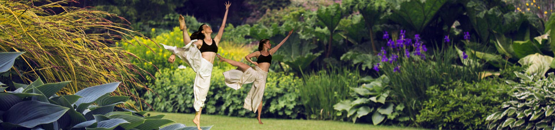 קרן תרבות חיפה